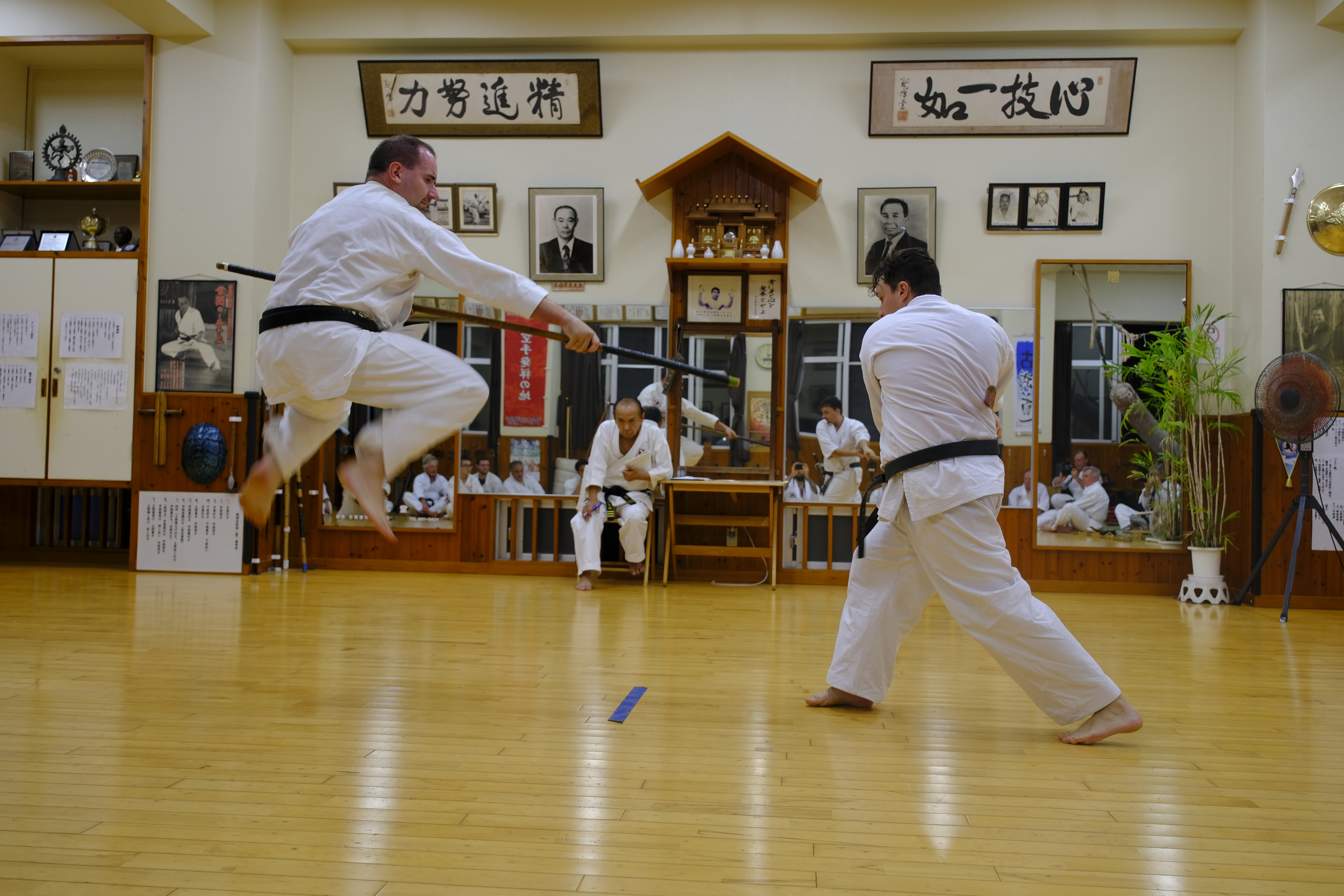 Ryukyu Kobudo – trening