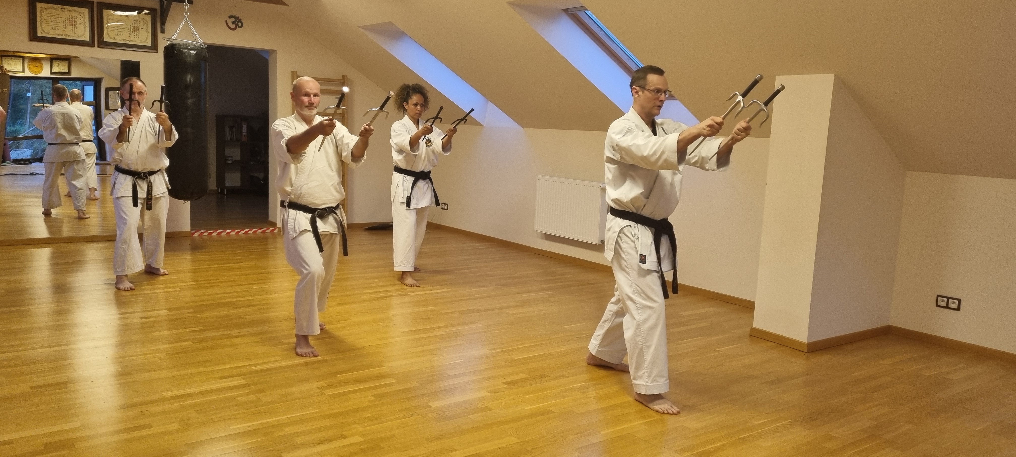 Ryukyu Kobudo – trening