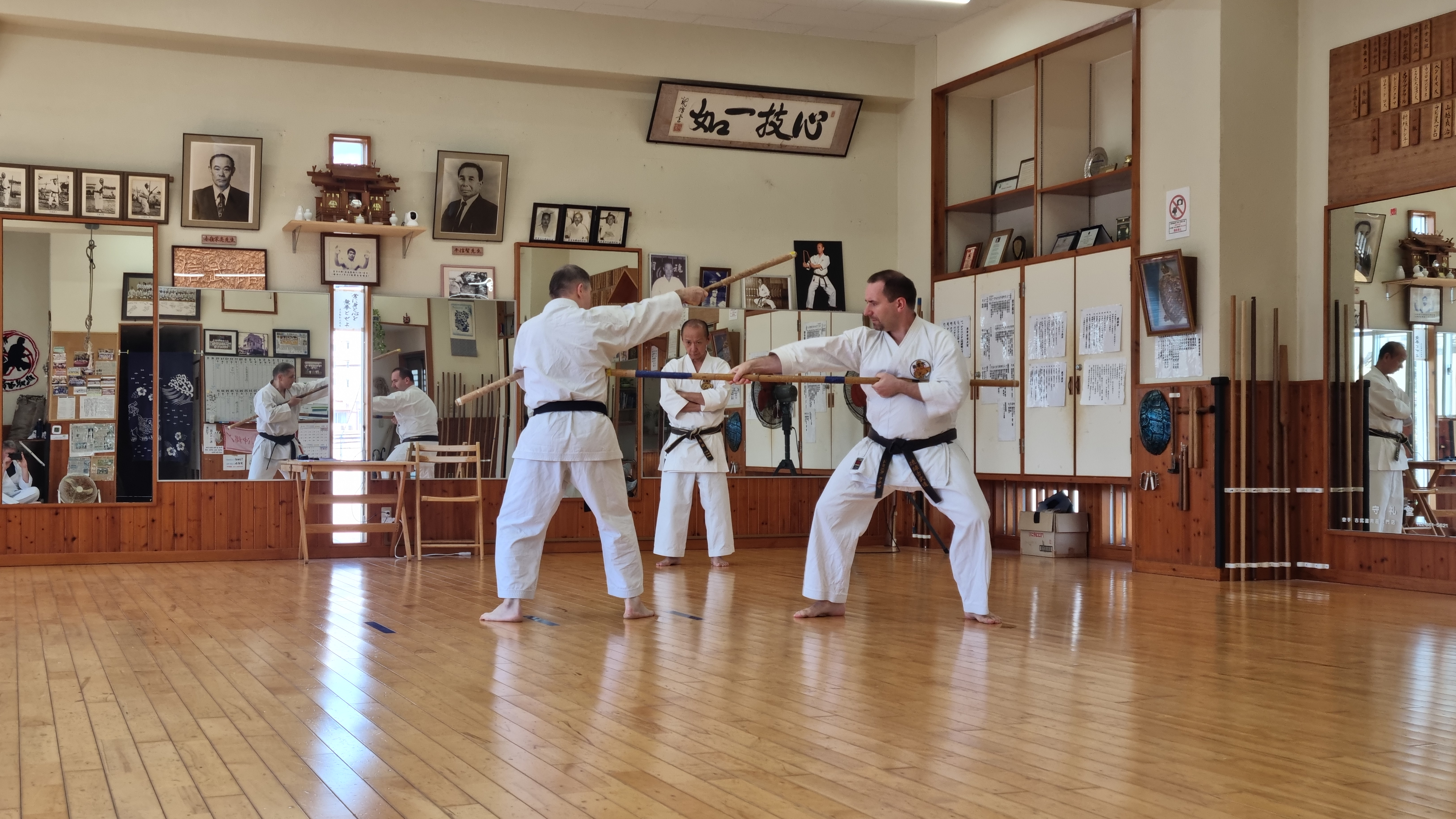 Ryukyu Kobudo – trening