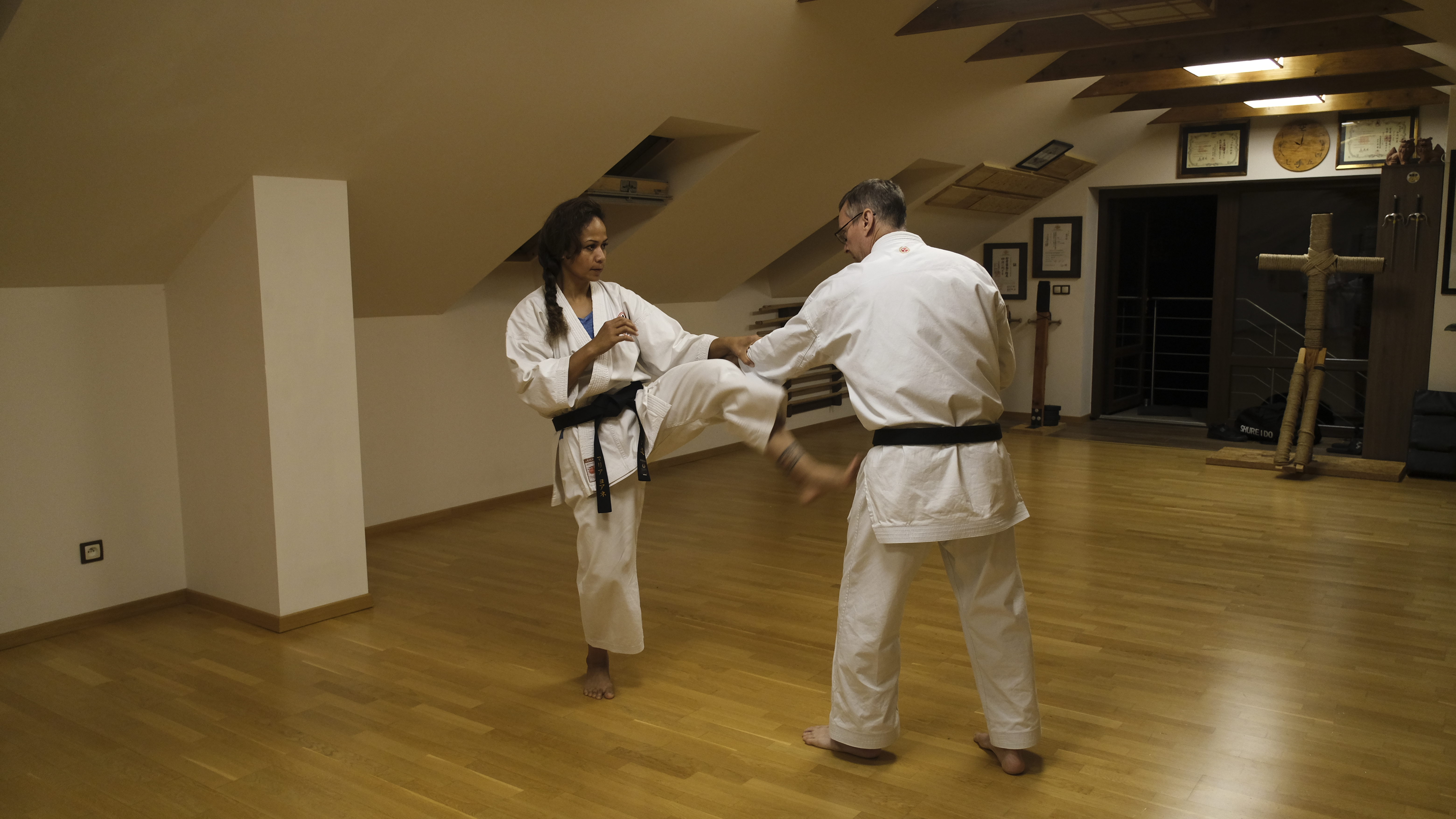 Shorin Ryu Karate-do – trening