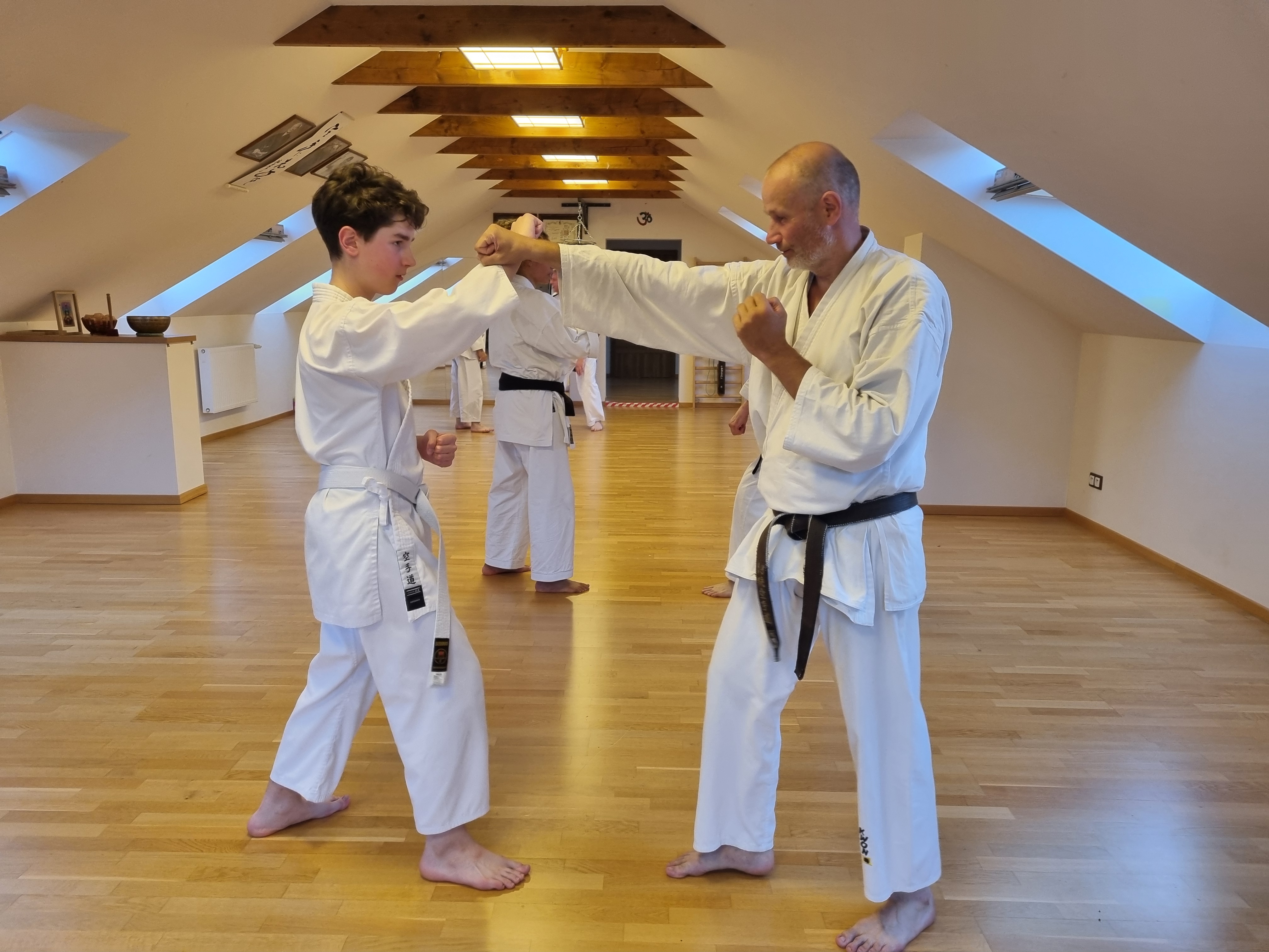 Shorin Ryu Karate-do – trening