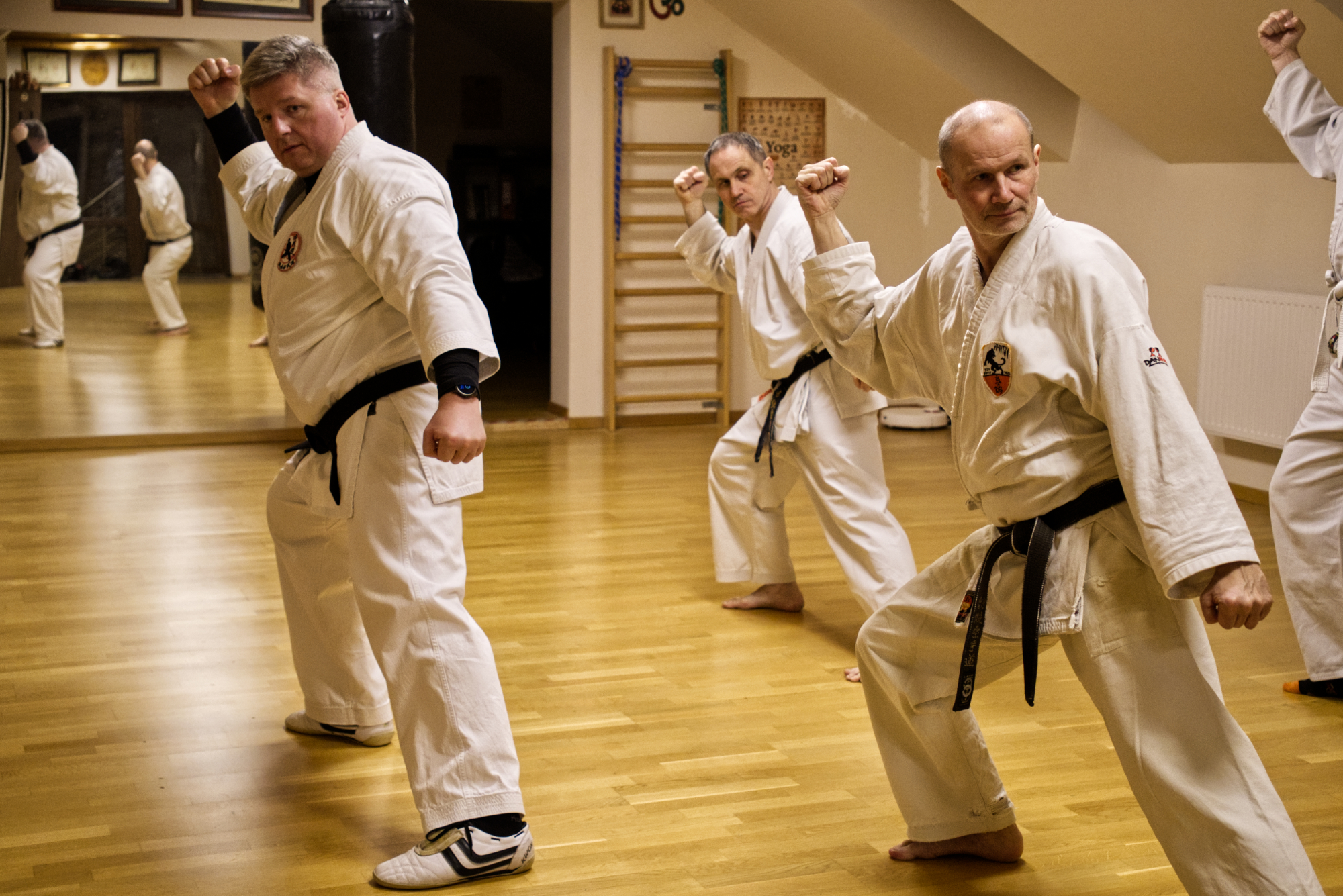 Shorin Ryu Karate-do – trening