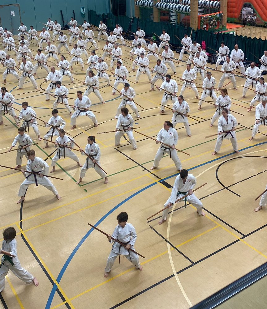 Seminarium Ryukyu Kobudo - Plymouth 2026 (UK) — miniatura