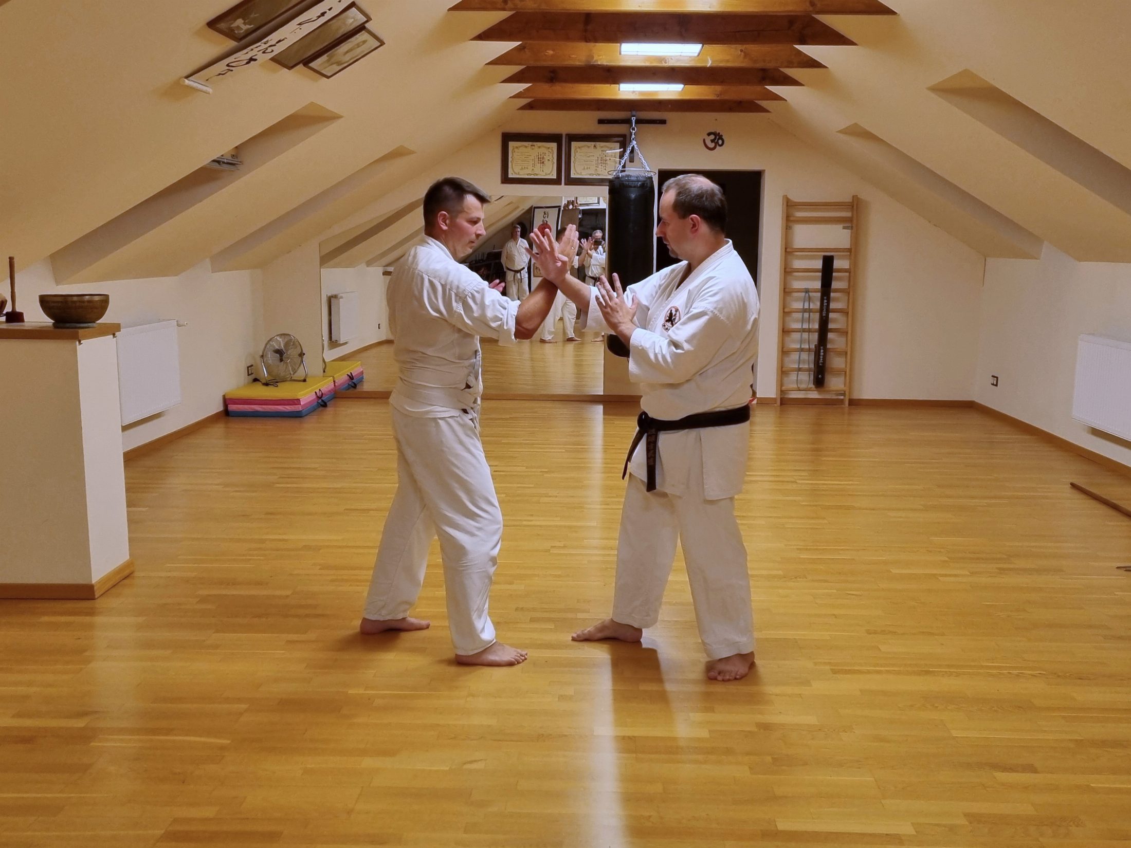 Shorin Ryu Karate-do – trening