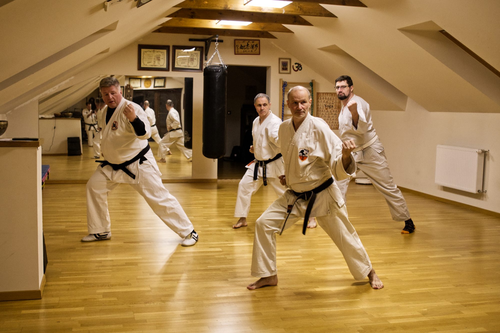 Shorin Ryu Karate-do – trening