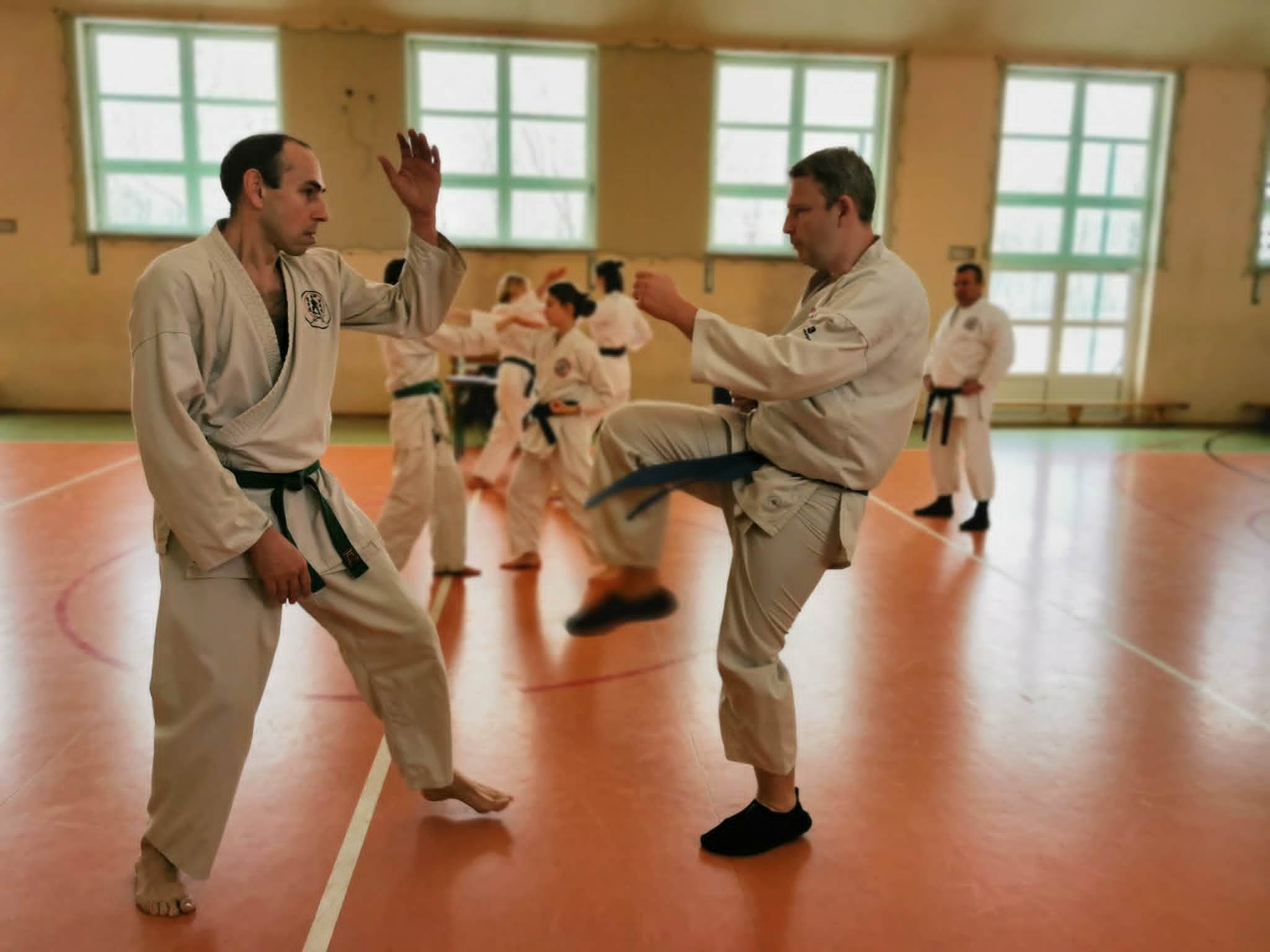 Shotokan Karate-do – trening