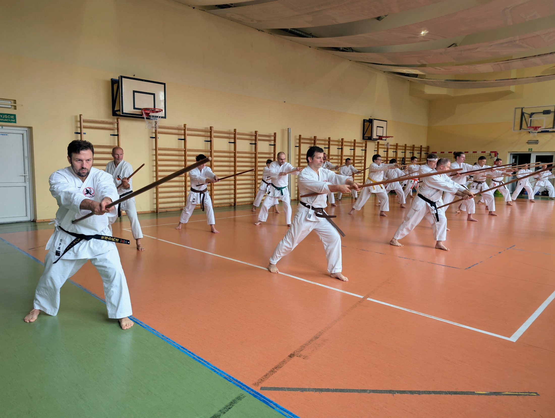 7 seminarium Ryukyu Kobudo Shimbukan w Krakowie — zdjęcie 4